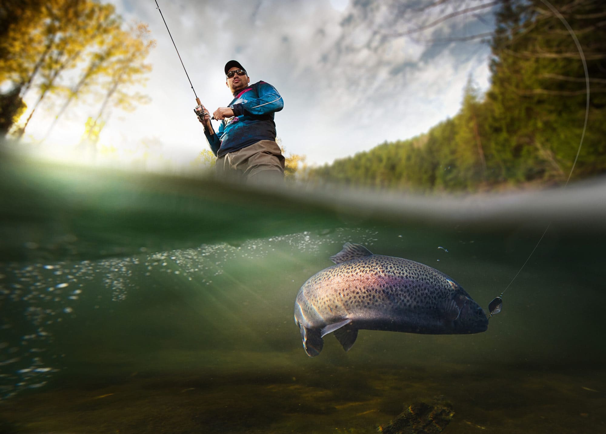 A fishy story